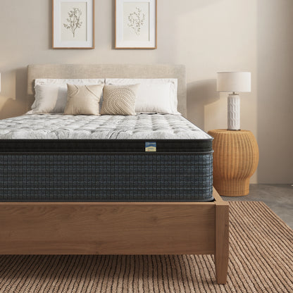 SPS Sapphire Foam Encased 12" Mattress