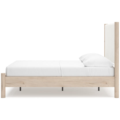 Cadmori Two-tone Queen Upholstered Platform Bed