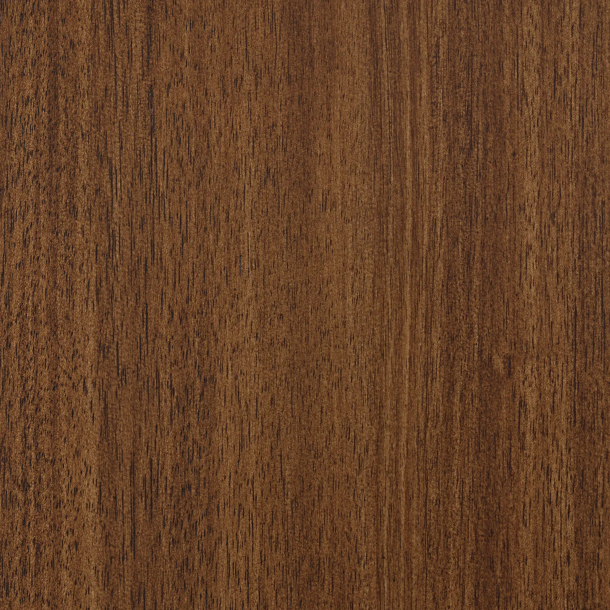 Lyncott Brown Dining Server