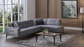 color_gray