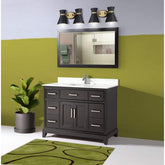 Genoa 60 in. Bath Vanity in Espresso with Vanity Top an Mirror - Decohub Home