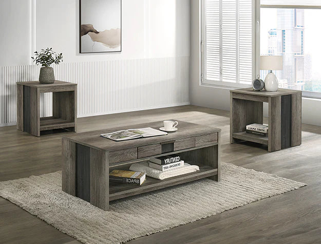 Rangley Gray 3-Piece Coffee Table Set