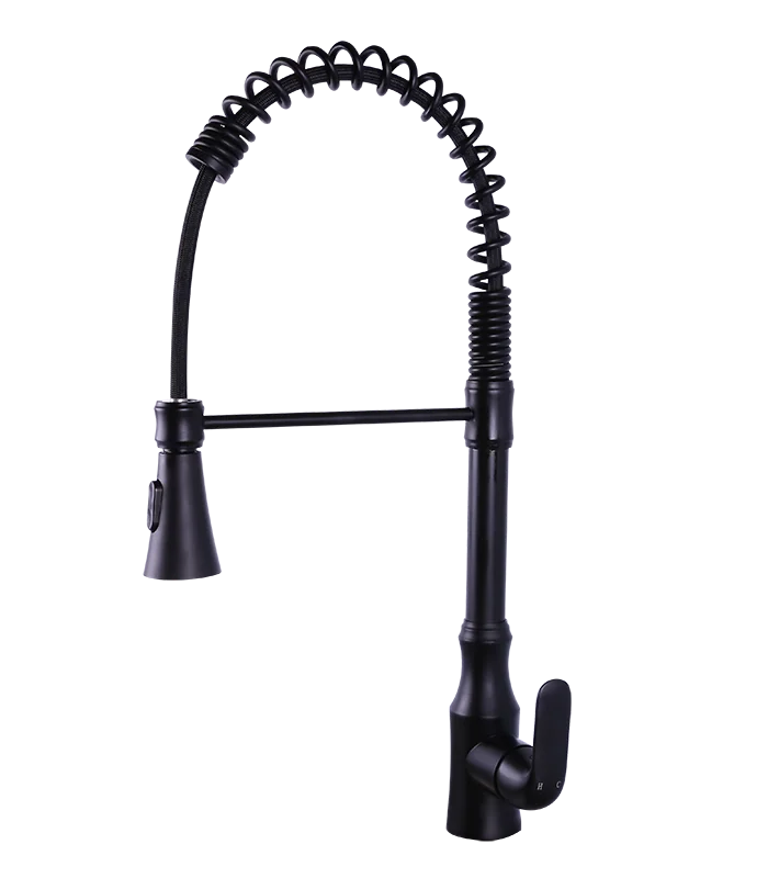 Pull Down Kitchen Faucet in Matte Black