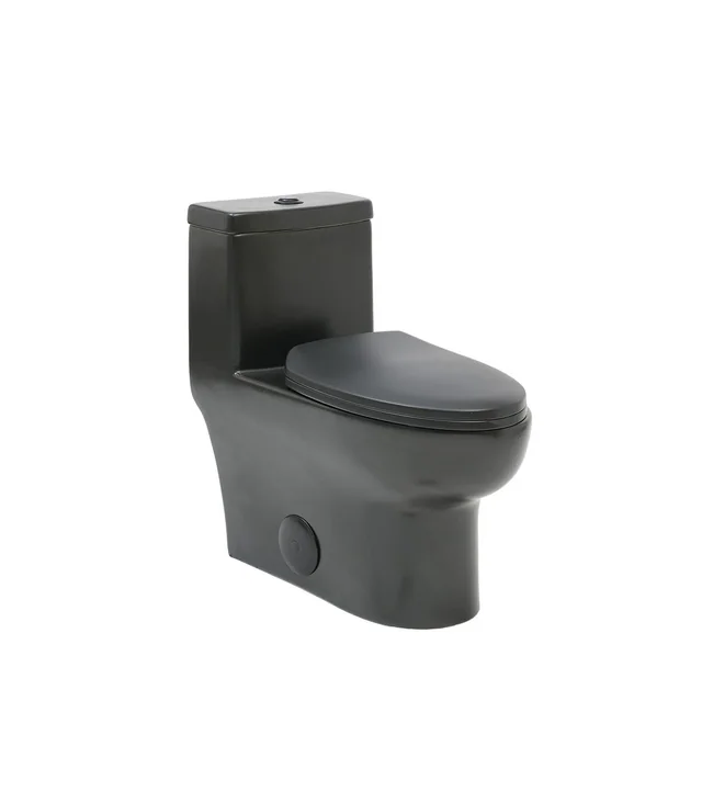 One-Piece Dual-Flush Toilet - Black Finishes - Black shown